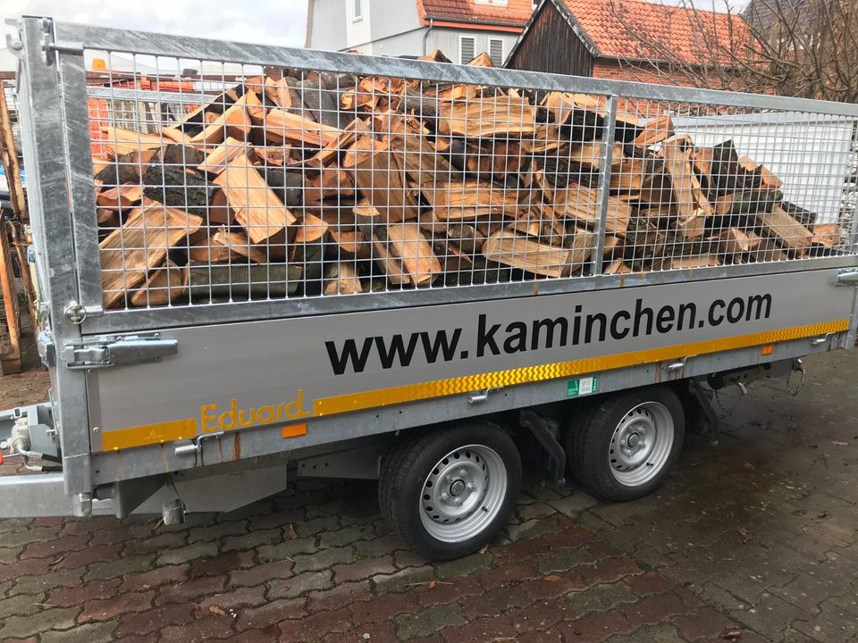 Brennholz Kaminholz trocken in Bad Salzdetfurth