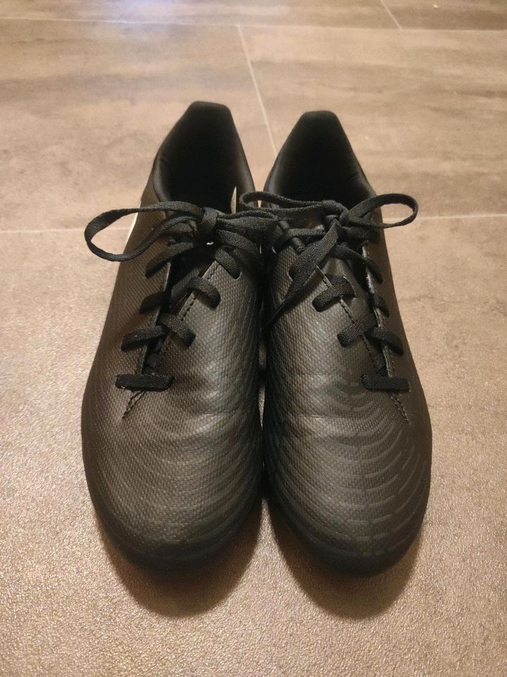 Fußballschuhe Adidas Predator Stollenschuhe Größe 38 in Weikersheim