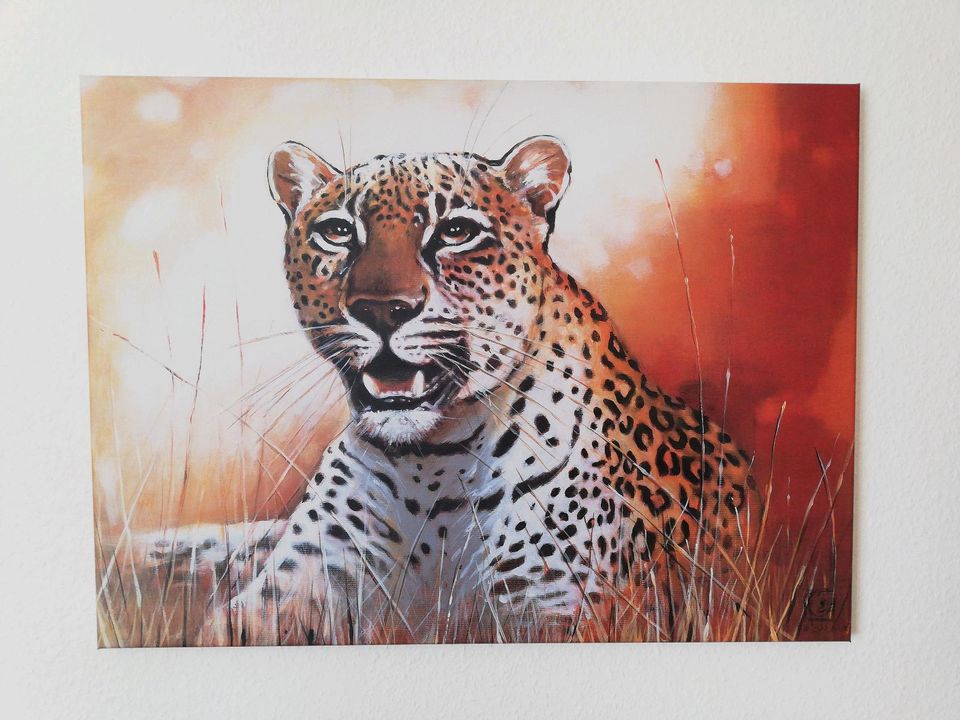 Bild Leopard Afrika Bild in Oststeinbek