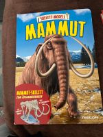 Kinderbuch Mammut Bayern - Sinzing Vorschau