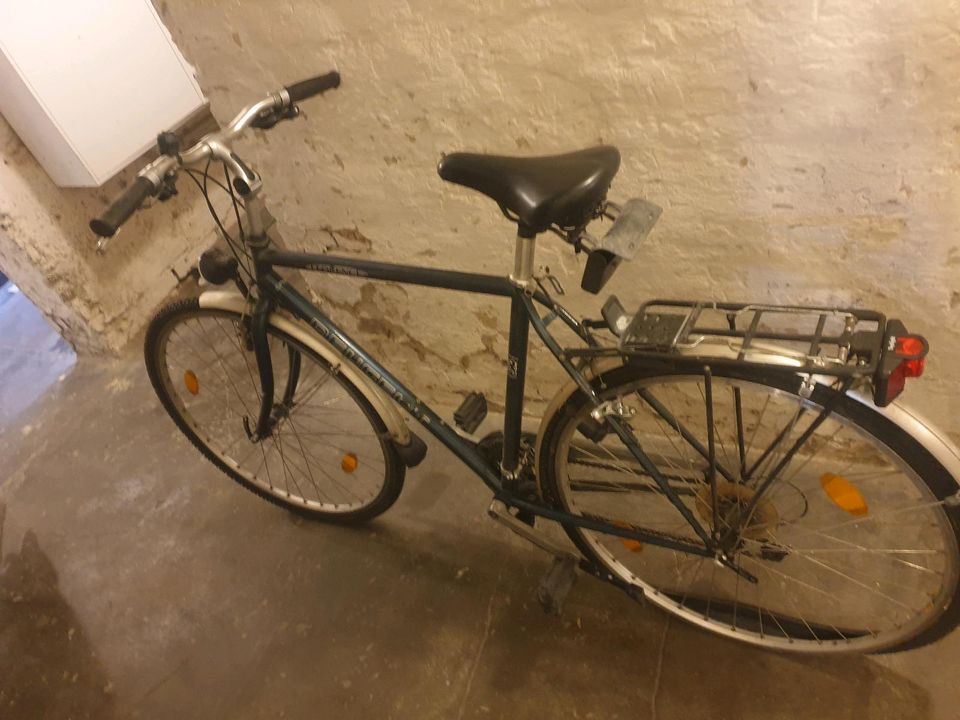 Herren Fahrrad in Essen