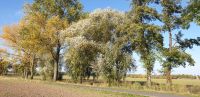 Gerolzhofen - komplett möblierte FEWO - Pendelwohnsitz! Bayern - Gerolzhofen Vorschau