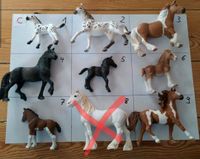 Schleich Pferde/Fohlen Sammlung C Schleswig-Holstein - Flensburg Vorschau