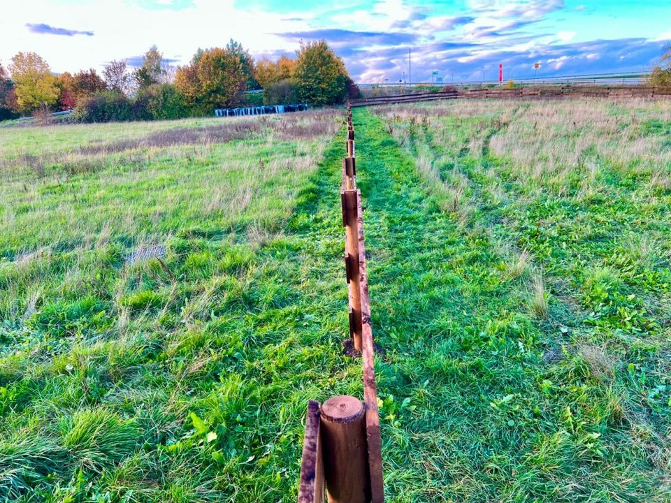 Weidezaun Bonanzazaun Rangerzaun Lärche Holz - 1000m KOMPLETTSET in Lennestadt