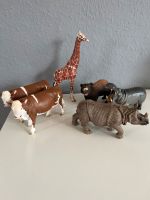 Schleich Tiere Flusspferd Giraffe Bär  Kuh Rind  je 5€ Nordrhein-Westfalen - Lippstadt Vorschau