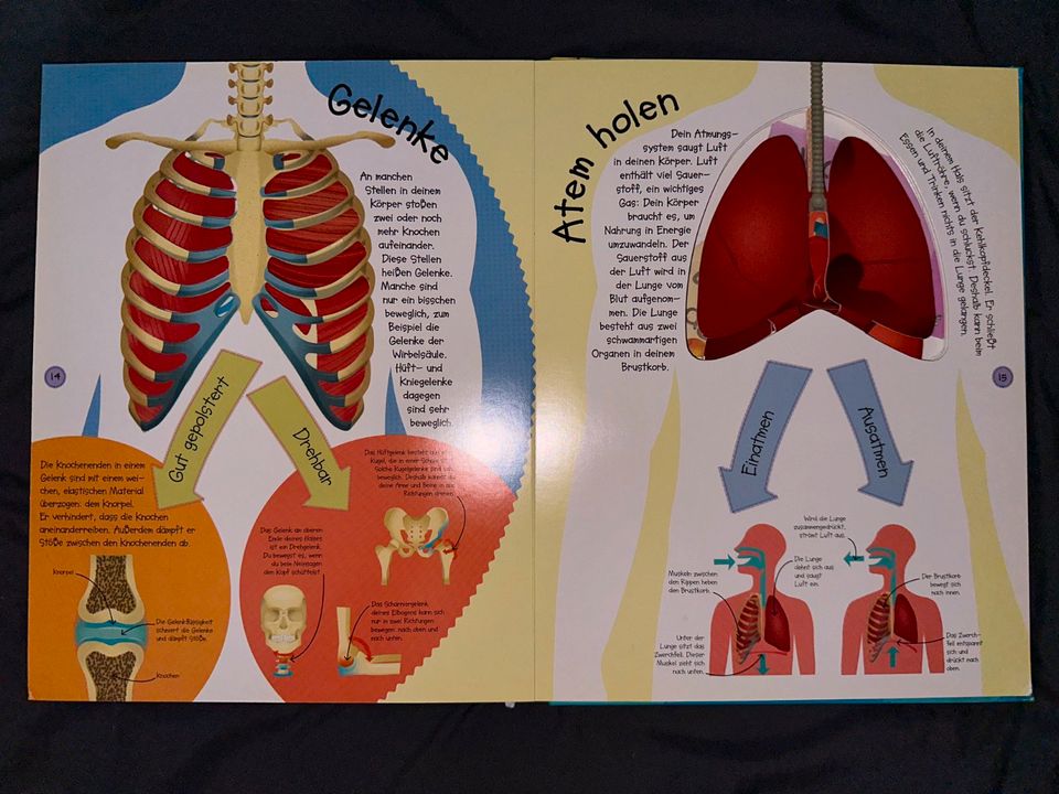 "Der Körper" Buch | DK Kinderbuch | Guter Zustand | in Wesseling