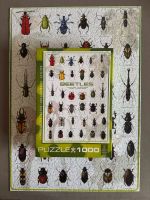 Eurographics 1000 Puzzle Käfer Beetles Insekten selten lernen Innenstadt - Köln Altstadt Vorschau