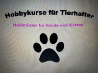 Angebot Hobbykurs Tierhalter HEILKRÄUTER FÜR HUNDE UND KATZEN Hessen - Lampertheim Vorschau