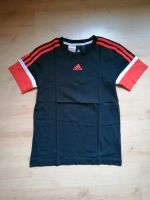 Adidas T-Shirt Größe 152 Nordrhein-Westfalen - Siegen Vorschau