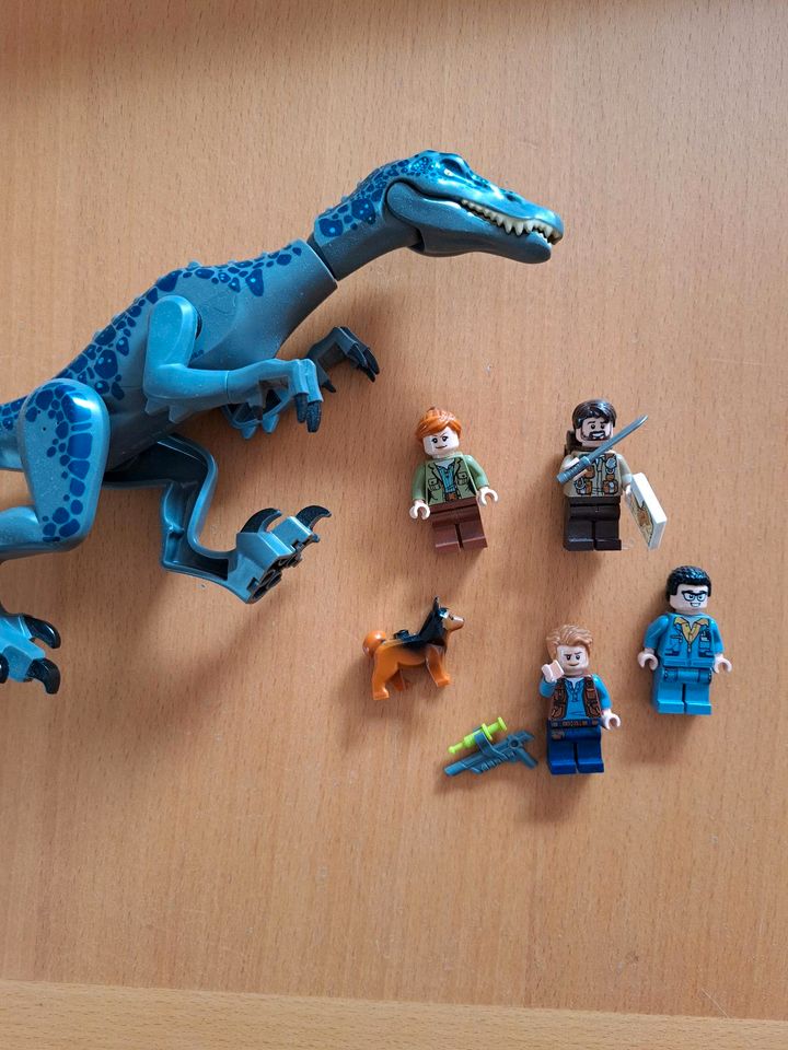 Lego Jurassic Park 75935 Baryonyx' Kräftemessen: die Schatzsuche in Reinfeld