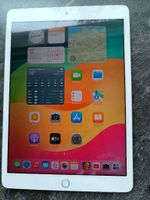 Apple iPad 7. Gen. 32GB,  WLAN, 25,91 cm (10,2 Zoll) -  Rose Farb Niedersachsen - Winsen (Luhe) Vorschau