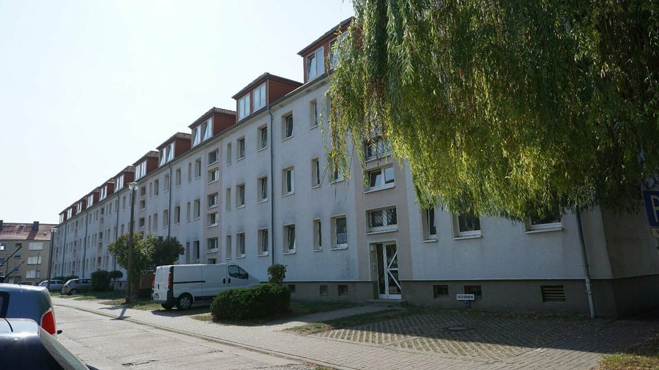 2 gemütliche Ferienwohnungen für 2-6 Personen in Egeln in Egeln