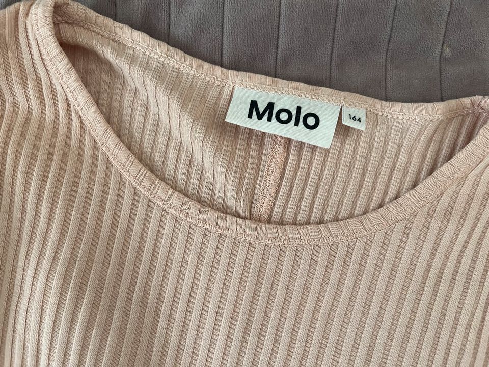 Kleiderpaket H & M Molo Badeanzug sehr guter Zustand 164-170 in Potsdam