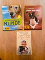 Hunde Ratgeber/ Verstehen/ Cesar Milans Welpenschule Niedersachsen - Langelsheim Vorschau