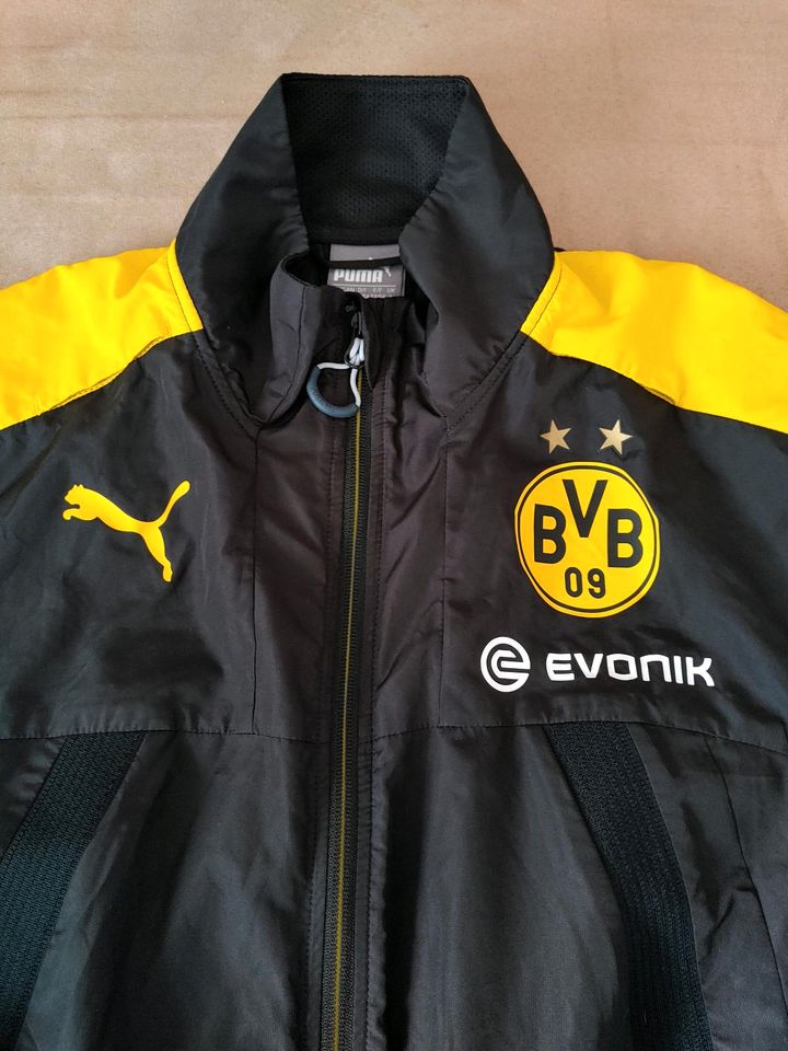 BVB Borussia Dortmund Trainingsjacke Gr L Puma sehr guter Zustand in Heuchelheim