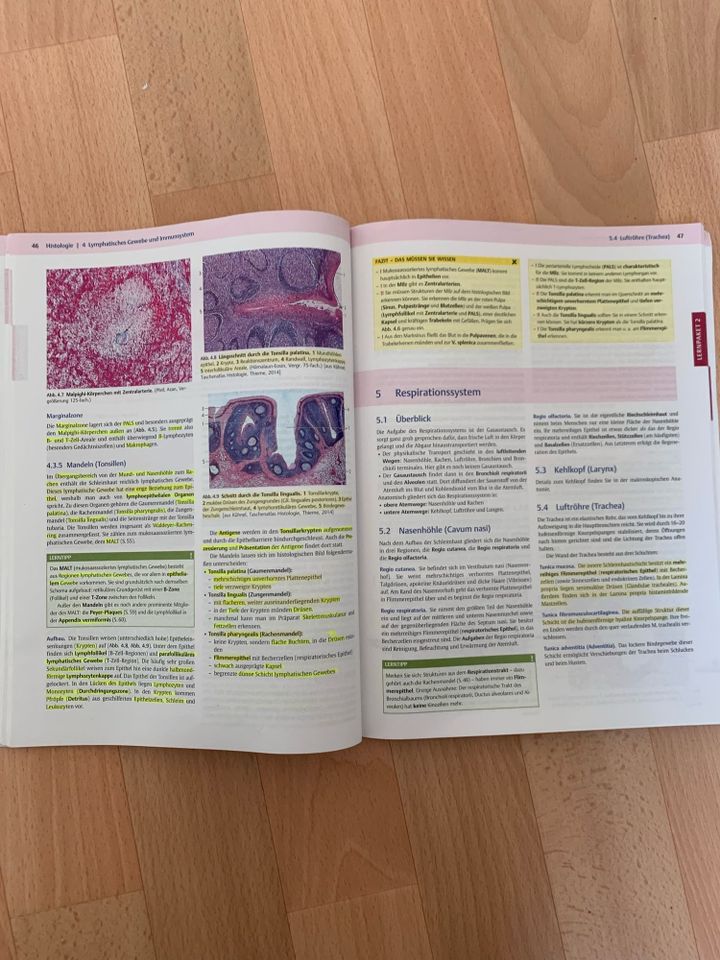 Endspurt Histologie in Jena