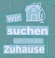 Wohnung gesucht zur Miete Bayern - Bergrheinfeld Vorschau