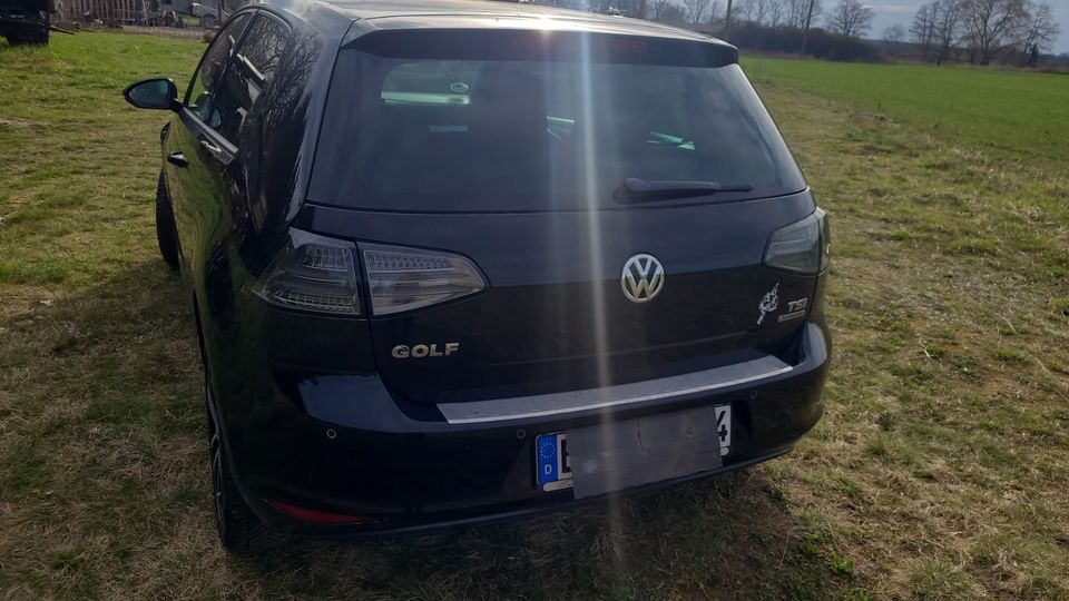 VW Golf 7 1.2 TSI BlueMotion in Wegenstedt