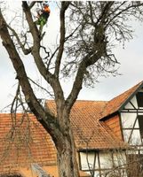 Sturmschäden Baum Bäume Fällung Garten Gartenbau Hessen - Grebenstein Vorschau