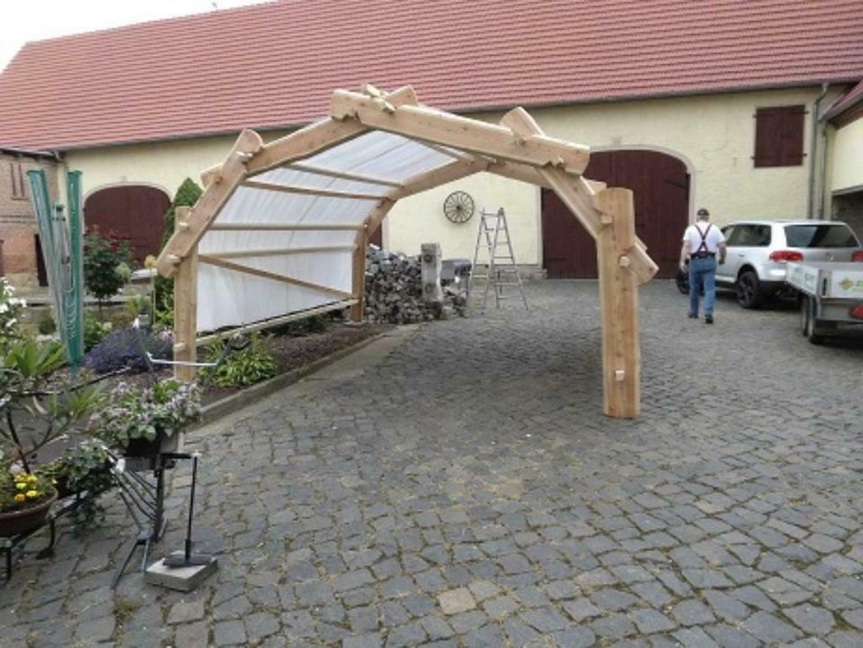 Pavillon, Sonnenschutz, Wetterschutz, Carport, bis zu 3 x 3 Meter in Kropp