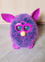 Furby Hasbro 2012 lila Dresden - Pirnaische Vorstadt Vorschau