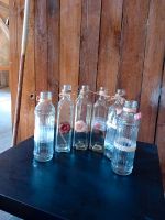 Hochzeitsdeko Flaschen Bayern - Hof (Saale) Vorschau