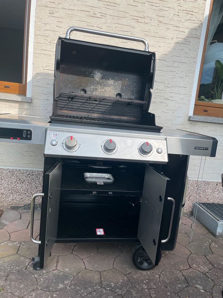 Weber Grill- Genesis 2 EX-315 in Bad Berleburg