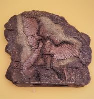 Deko Urzeit Fossil Archaeopteryx NEU Hessen - Biblis Vorschau