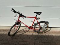 Panasonic MC3500 Herrenfahrrad Hessen - Kassel Vorschau