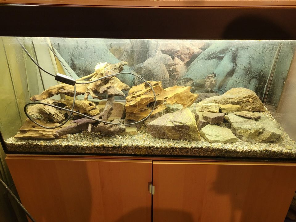 Aquarium mit Abdeckung + zusätzl. Leuchtmitteln in Hünxe