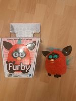 Furby Farbe rot Bayern - Grafenau Vorschau