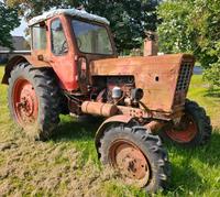 MTS 50 Belarus DDR Traktor Bad Doberan - Landkreis - Sanitz Vorschau
