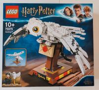 LEGO 75979 - Harry Potter Hedwig™ **Top und Neu** Bayern - Büchenbach Vorschau