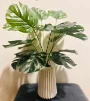 Kunstpflanze mit Pot, Plant with ceramic vase München - Pasing-Obermenzing Vorschau