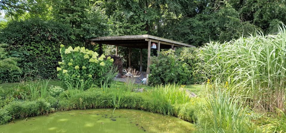 Einfamilienhaus mit Einliegerwohnung Wintergarten und Teich in Eystrup