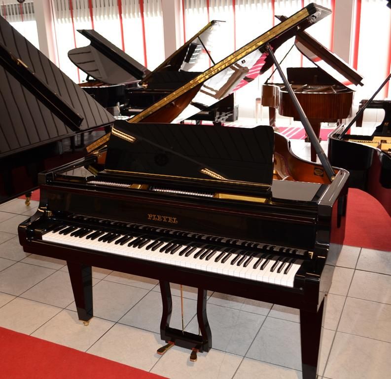 Schimmel Flügel Modell Pleyel Modell 175 in Michelau i. OFr.