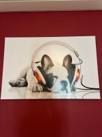 XXL Posterbild Französische Bulldogge Niedersachsen - Emden Vorschau