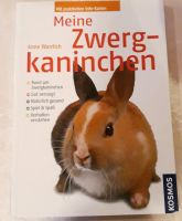 Zwergkaninchen Buch Nordrhein-Westfalen - Much Vorschau