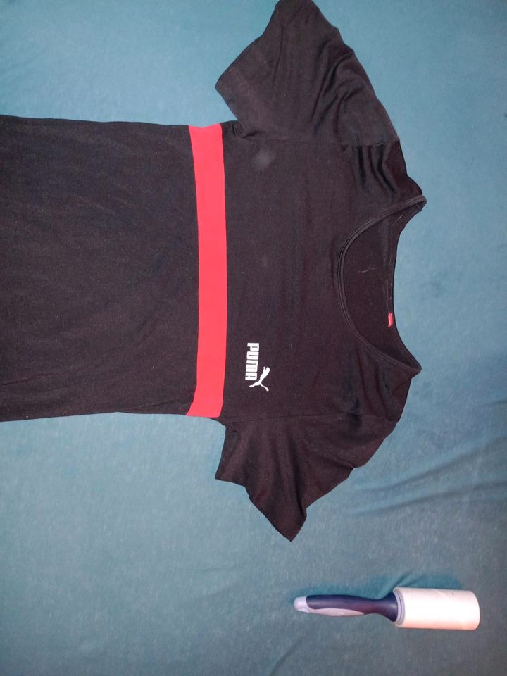 T-Shirt sport Puma original in Reutlingen