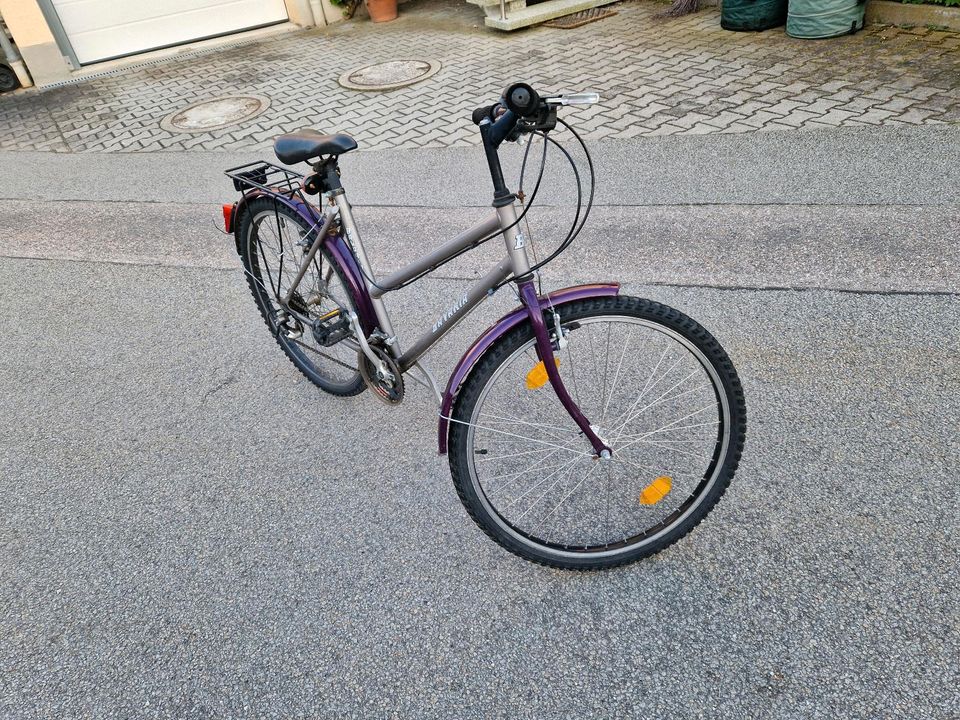 Damen Fahrrad in Landau a d Isar