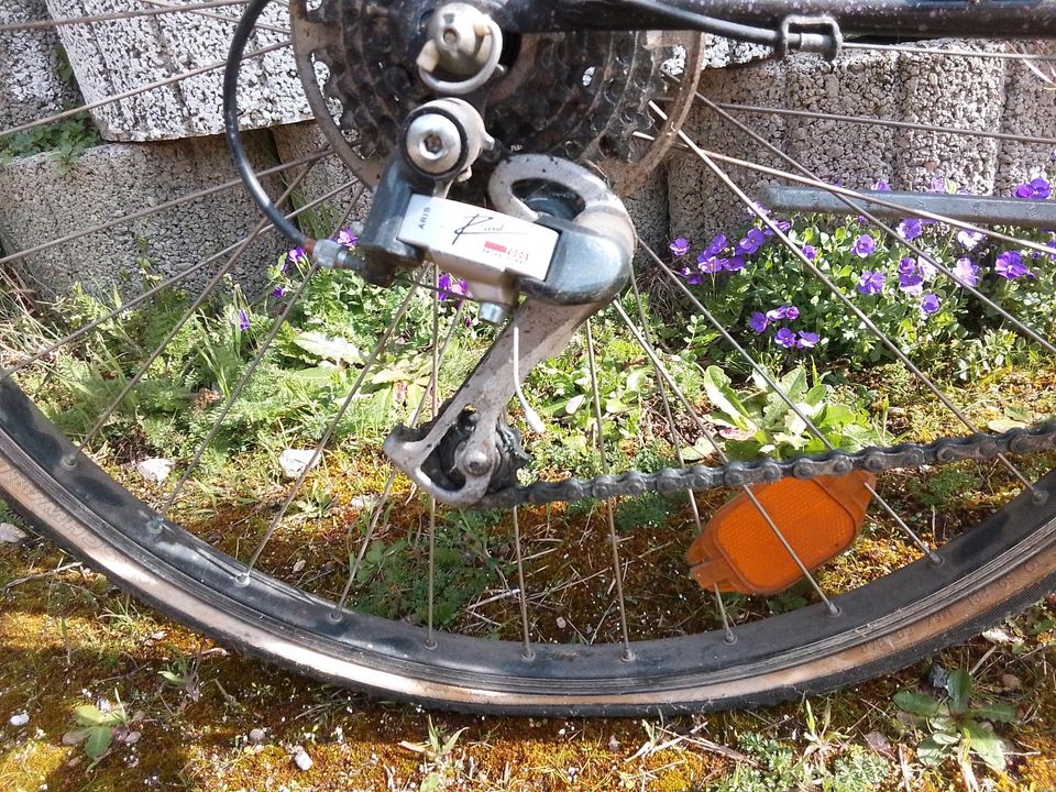 Herrenfahrrad von Hercules in Fürfeld