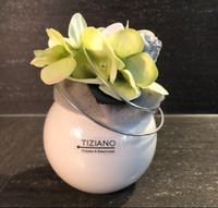 TIZIANO, dekorierte Vase Saarland - Namborn Vorschau