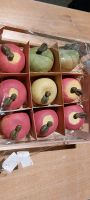 Deko Äpfel 9 Stck aus Ton  glasiert Hessen - Ginsheim-Gustavsburg Vorschau