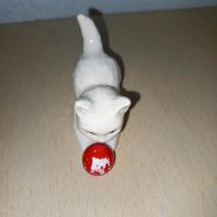 Göbel Katze mit Ball Schleswig-Holstein - Kellinghusen Vorschau