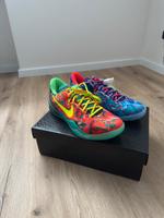 Nike Kobe 8 What the Gr. 44,5 Jordan, LeBron, KD Lindenthal - Köln Sülz Vorschau