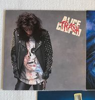 Alice Cooper Trash Schallplatte Vinyl Ludwigslust - Landkreis - Eldena Vorschau