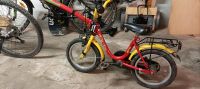 Kinderfahrrad "Mini-Bike" Sachsen - Pockau Vorschau