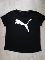 Puma T-Shirt Größe M Hessen - Hanau Vorschau