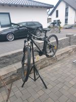 Bergamont Mountain Bike Rahmengröße 47 Rheinland-Pfalz - Illerich Vorschau