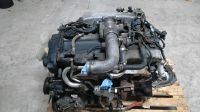 Nissan Skyline R34 RB25DET Neo 280PS  Motor engine HKS Turbo Nordrhein-Westfalen - Saerbeck Vorschau